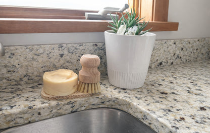 Refill: Solid Dish Soap, Orange Eucalyptus